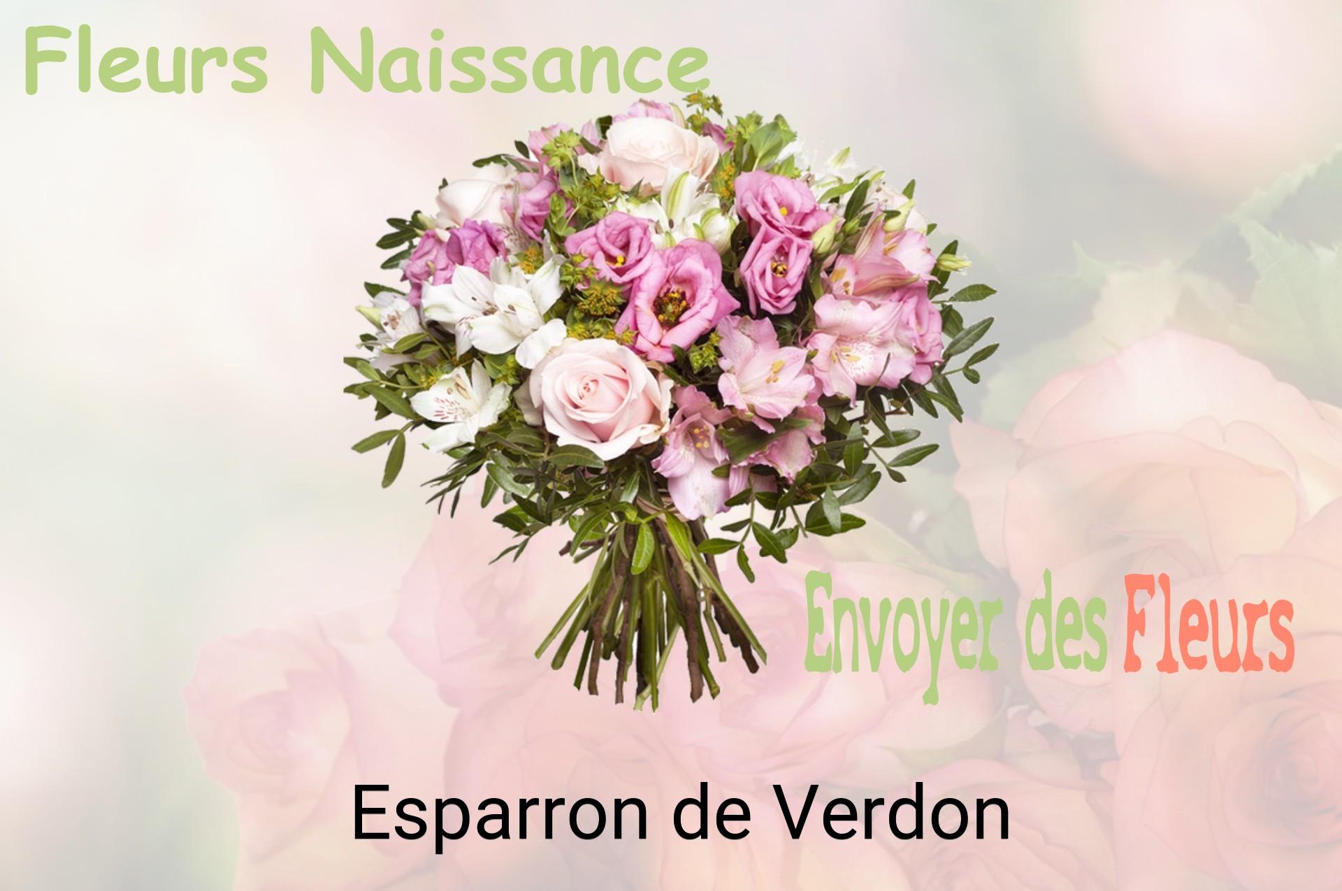 Bouquet de fleurs de naissance livré à Esparron-de-Verdon
